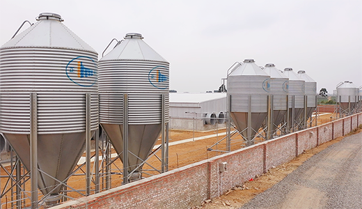 湛江北坡三合14000育肥五场